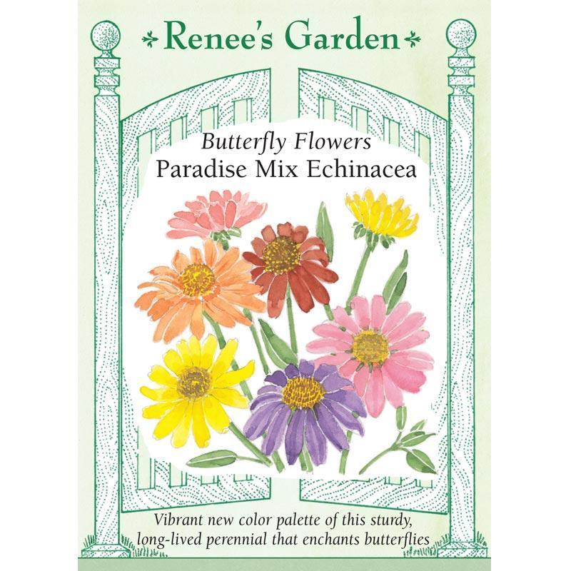 Butterfly Paradise Echinacea Flower Seed Mix Renee's Garden