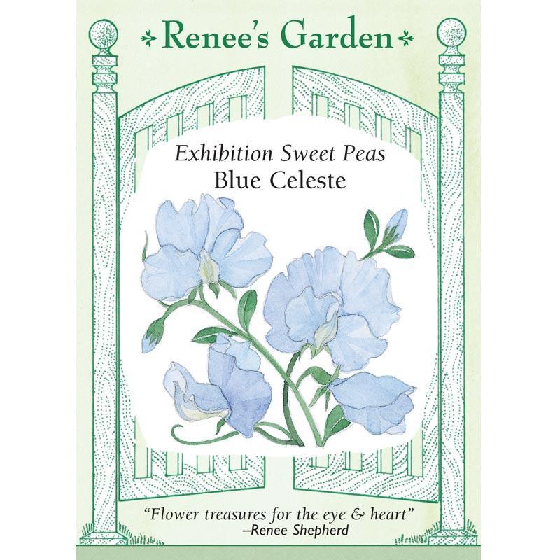 renee's flower seeds Blue Celeste Exhibition Sweet Pea Flower Seeds