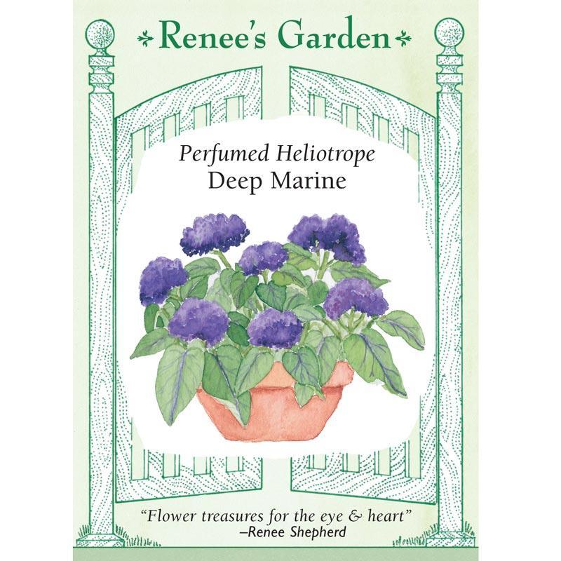 Renee's Garden Heliotrope Deep Marine - Grow Organic Renee's Garden Heliotrope Deep Marine Flower Seed & Bulbs