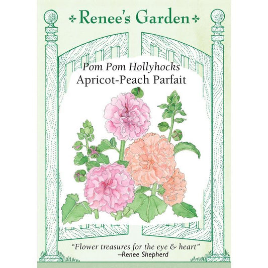 Renee's Garden Hollyhock Pom Pom Apricot-Peach Parfait Renee's Garden Hollyhock Pom Pom Apricot-Peach Parfait Flower Seed & Bulbs