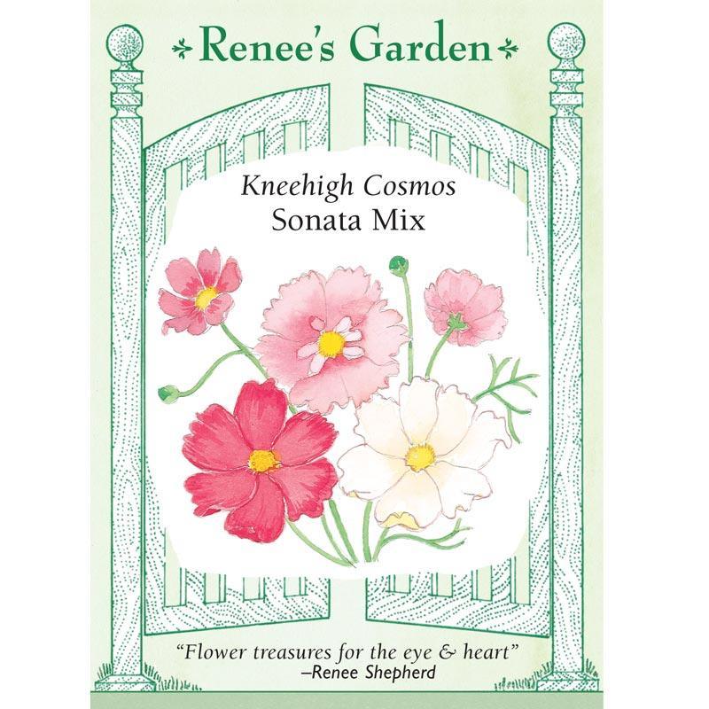 Sonata Knee-High Cosmos Flower Seed Mix Renee's Garden
