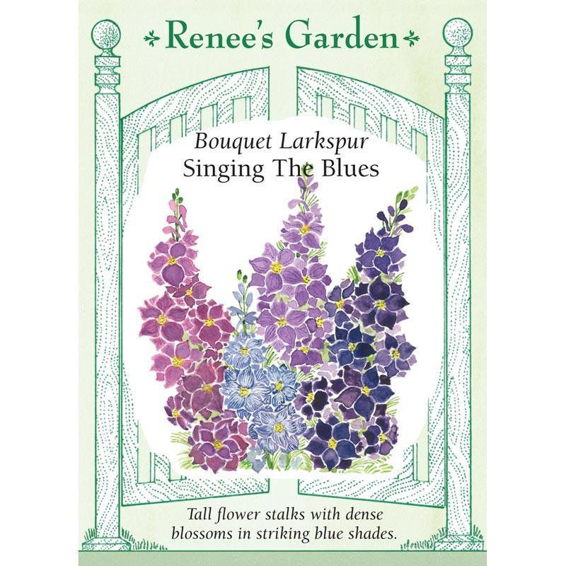 Singing the Blues Bouquet Larkspur Flower Seeds Renee's Garden