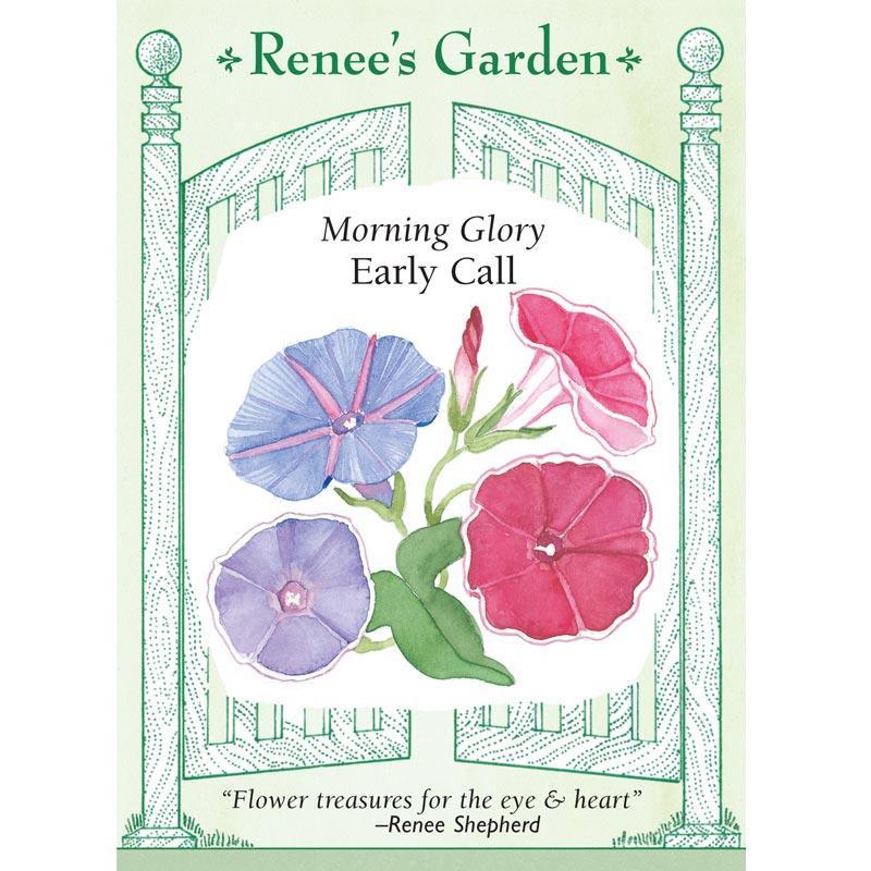 Early Call Morning Glory Flower Seeds Renee's Garden