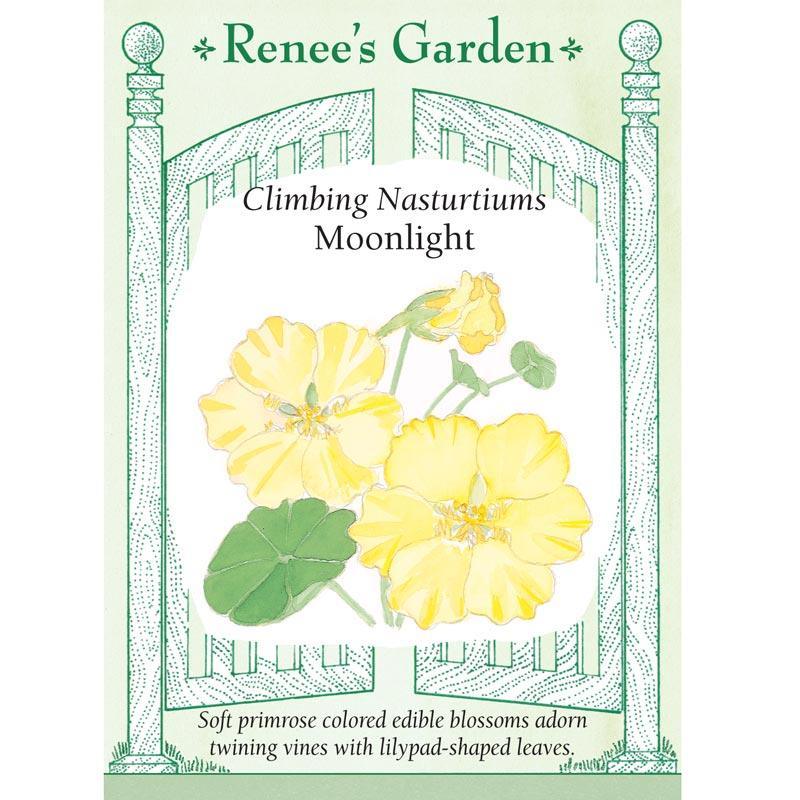 Moonlight Climbing Nasturtium Flower Seeds Renee's Garden