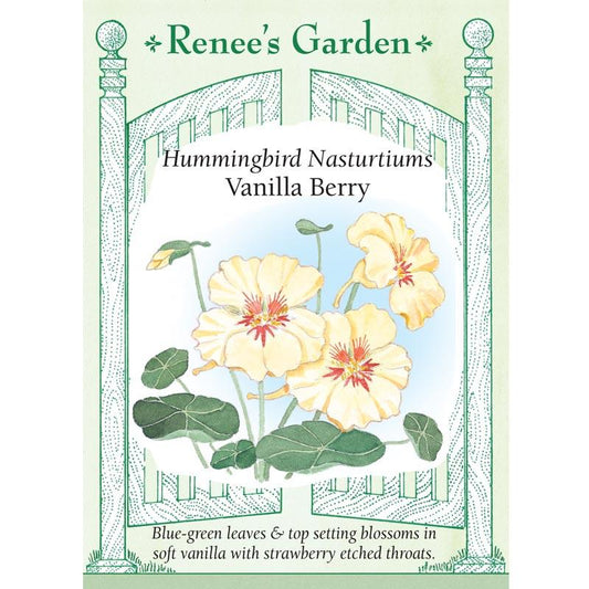 Renee's Garden Nasturtium Hummingbird Vanilla Berry Renee's Garden Nasturtium Hummingbird Vanilla Berry Flower Seed & Bulbs