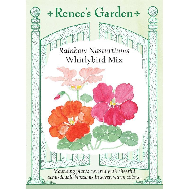Whirlybird Rainbow Nasturtium Flower Seed Mix Renee's Garden