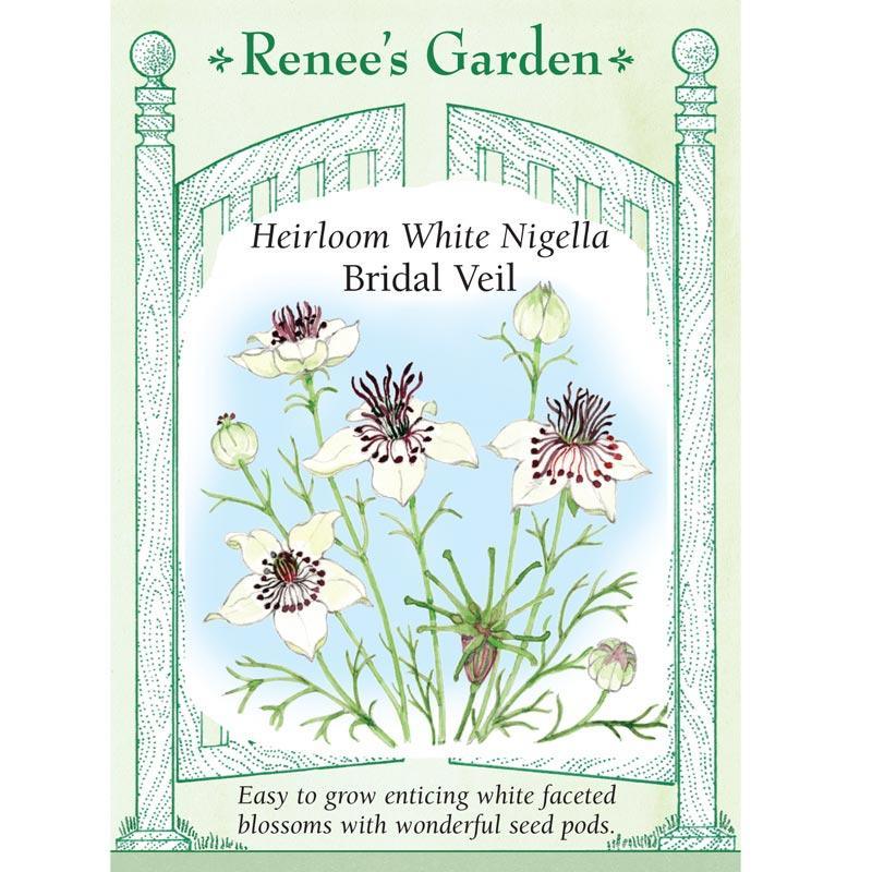 Bridal Veil White Nigella Flower Seeds Renee's Garden