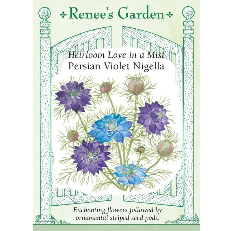 Persian Violet Love In A Mist Nigella Flower Seeds Renee's Garden