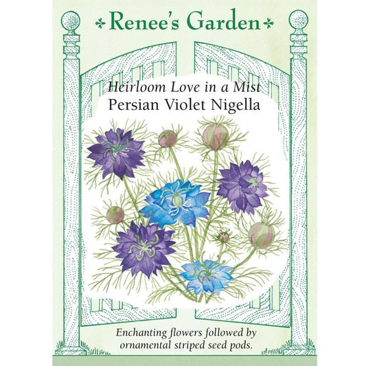 Persian Violet Love In A Mist Nigella Flower Seeds Renee's Garden