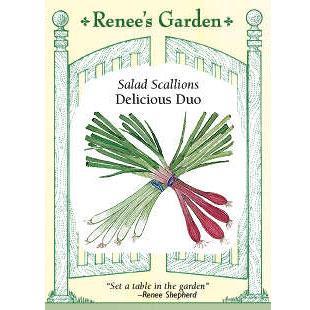 renee's garden organic seeds Scallions Delicious Duo