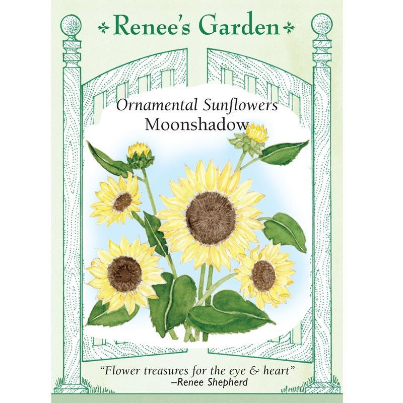 Moonshadow Ornamental Sunflower Flower Seeds Renee's Garden