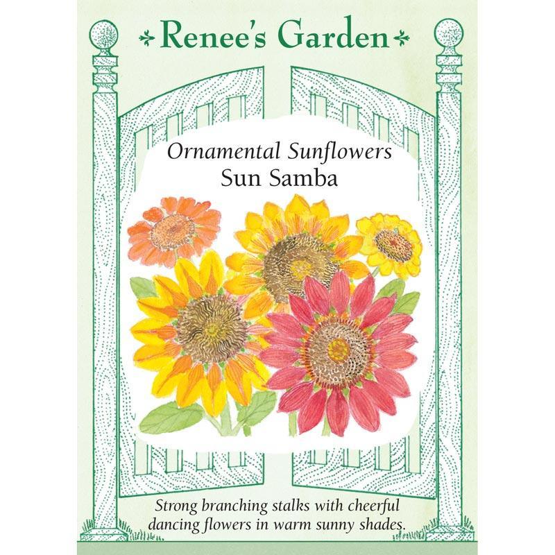 Sun Samba Ornamental Sunflower Flower Seeds Renee's Garden