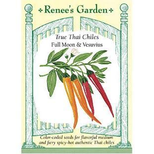 Thai Duo Orange Full Moon & Red Vesuvius Chile Pepper Seeds Renee's Garden