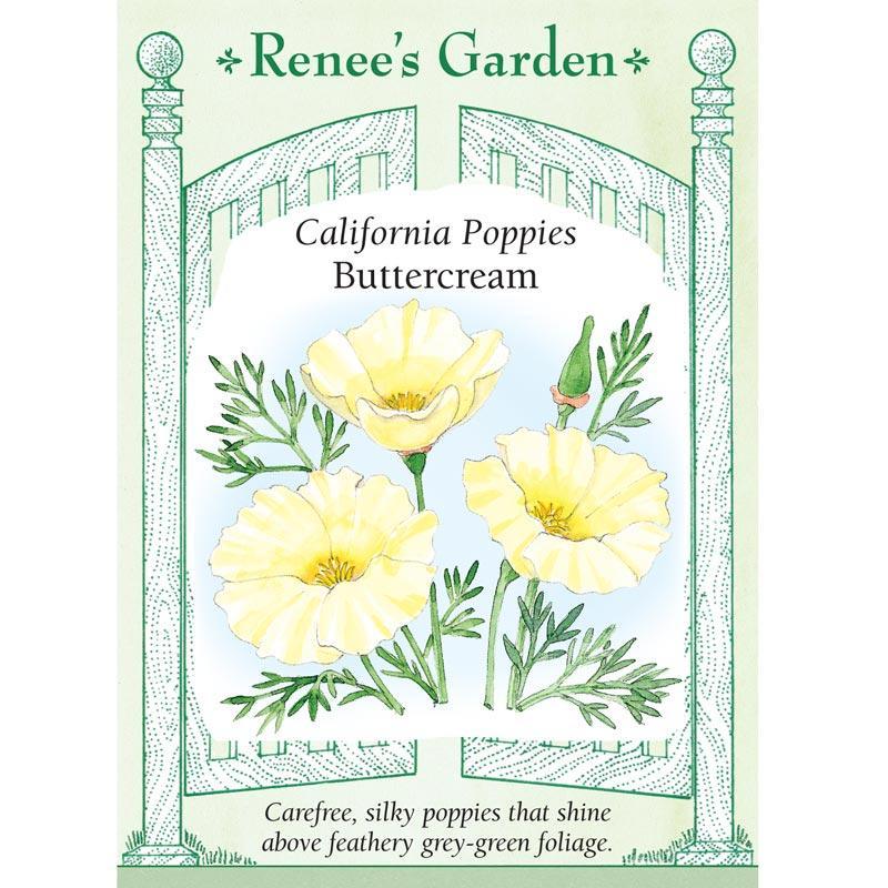 Buttercream California Poppy Flower Seeds Renee's Garden