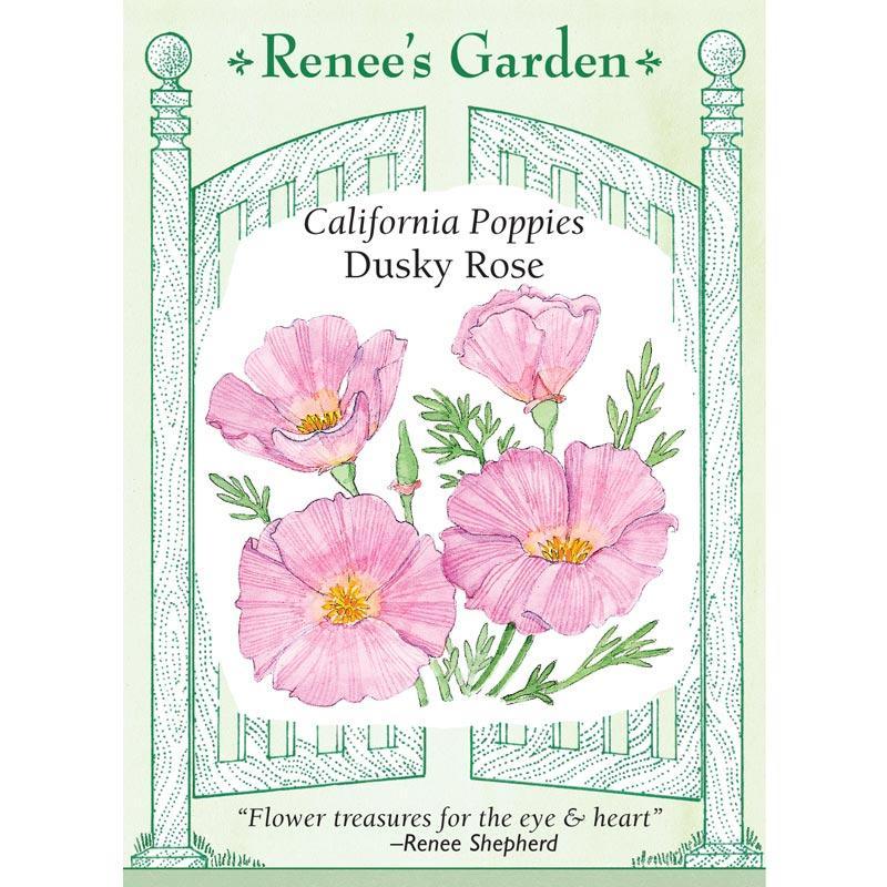Dusky Rose California Poppy Flower Seeds Renee's Garden