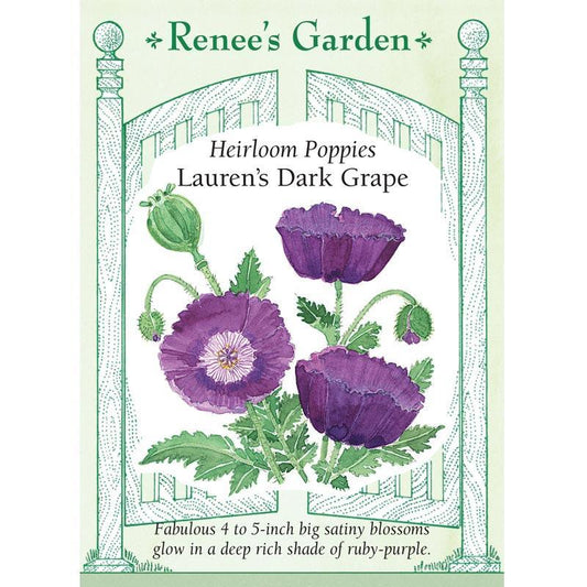 Lauren's Dark Grape California Poppy Flower Seeds Renee's Garden