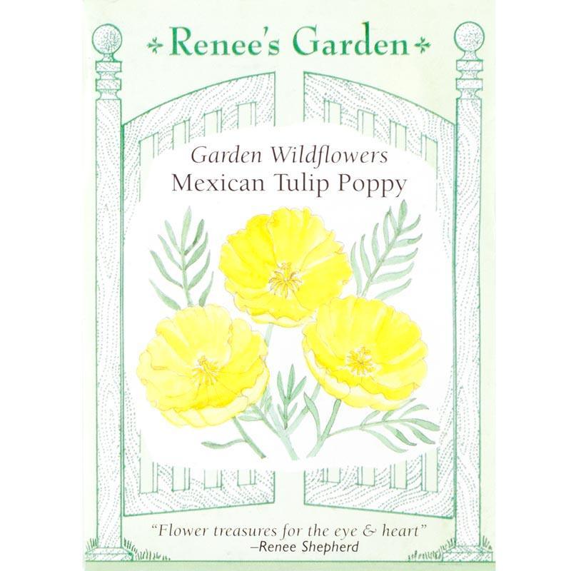 Mexican Tulip Poppy Flower Seeds Renee's Garden