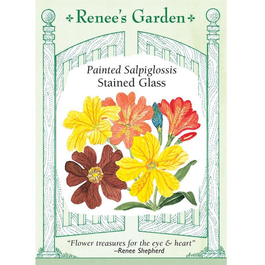 Renee's Garden Salpiglossis Painted Stained Glass Renee's Garden Salpiglossis Painted Stained Glass Flower Seed & Bulbs