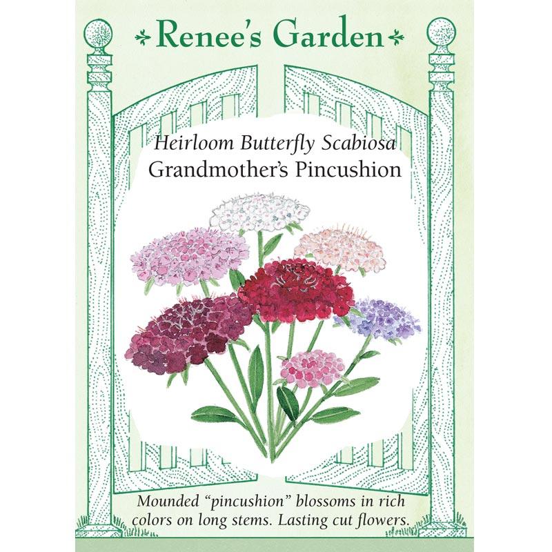 Renee's Garden Scabiosa Butterfly Grandma's Pincushion Renee's Garden Scabiosa Butterfly Grandma's Pincushion (Heirloom) Flower Seed & Bulbs