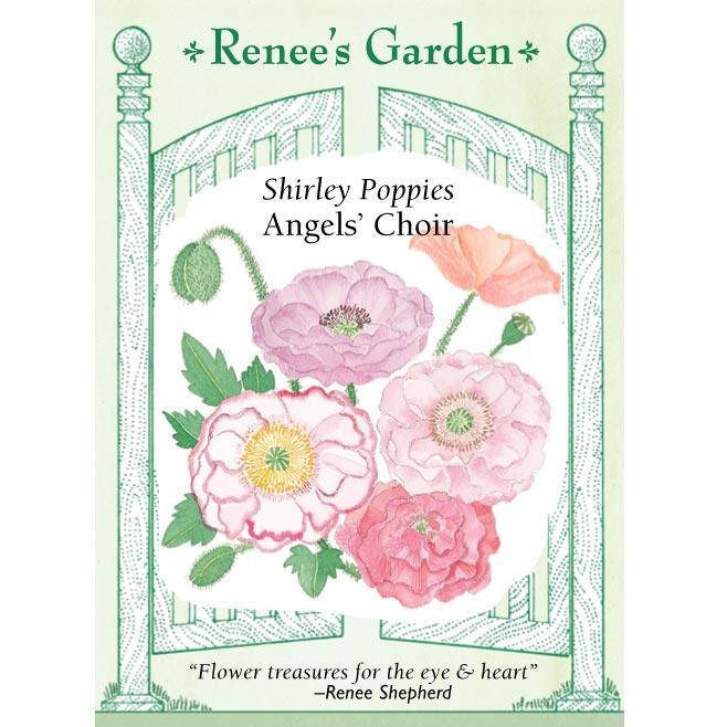 Shirley Poppy Angel's Choir Flower Seeds Renee's Garden