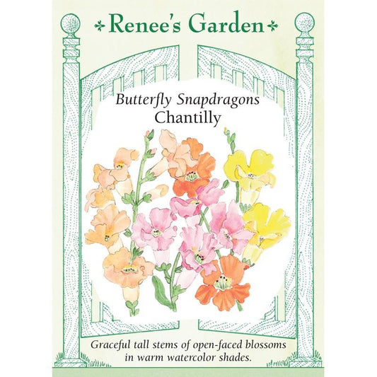Renee's Garden Snapdragon Butterfly Chantilly - Grow Organic Renee's Garden Snapdragon Butterfly Chantilly Flower Seed & Bulbs