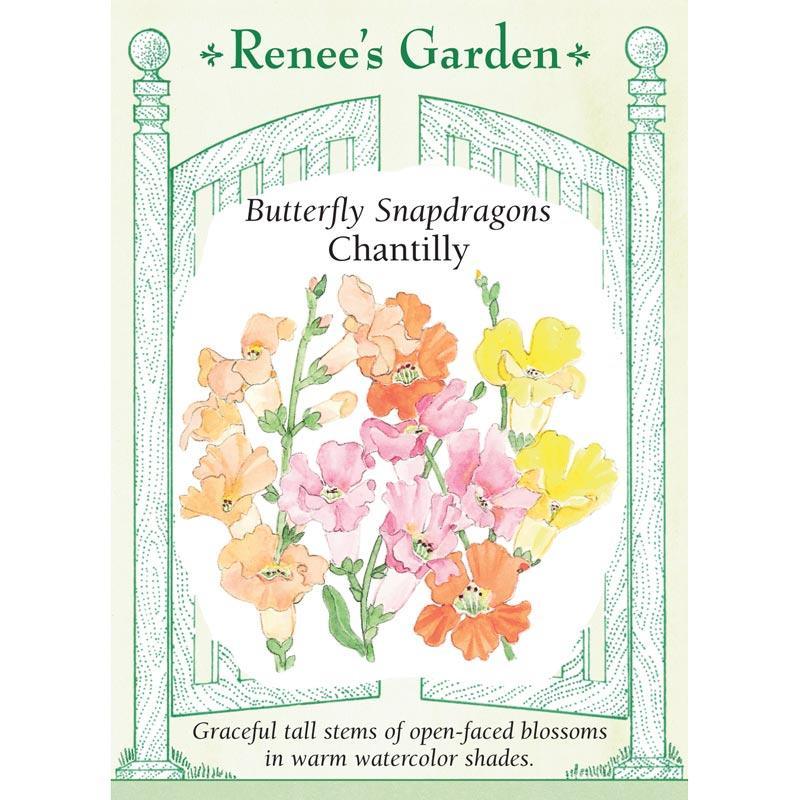Chantilly Butterfly Snapdragon Flower Seeds Renee's Garden