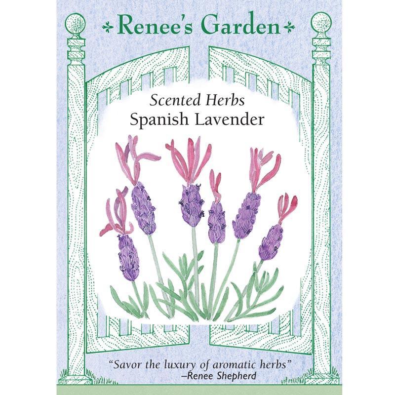 Purple Ribbons Spanish Lavender Seeds Renee's Garden