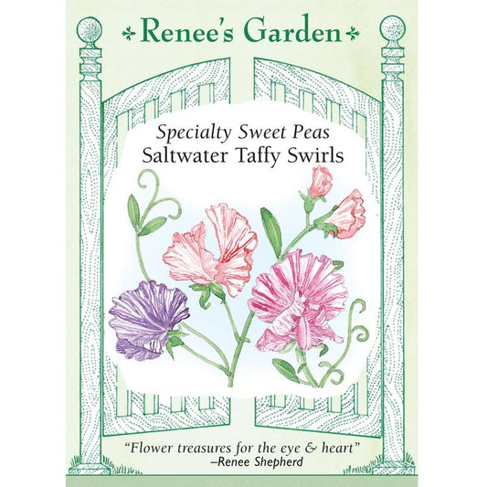 Renee's Garden Specialty Sweet Pea Saltwater Taffy Swirls Renee's Garden Specialty Sweet Pea Saltwater Taffy Swirls Flower Seed & Bulbs