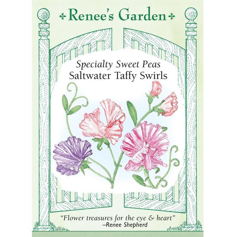 specialty flower seeds Saltwater Taffy Swirls Specialty Sweet Pea Flower Seeds