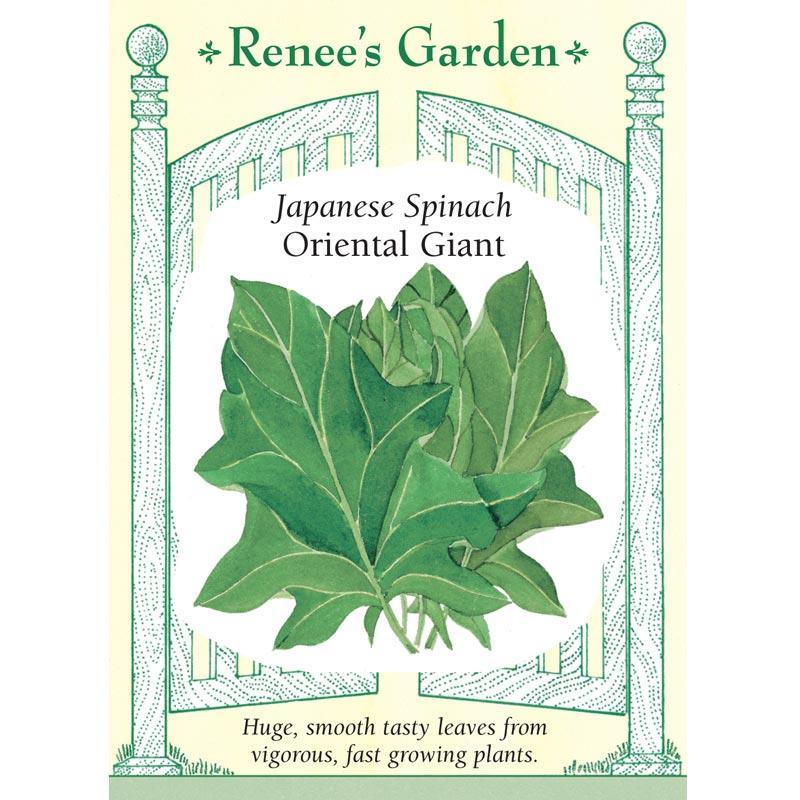 Oriental Giant Japanese Spinach Seeds Renee's Garden