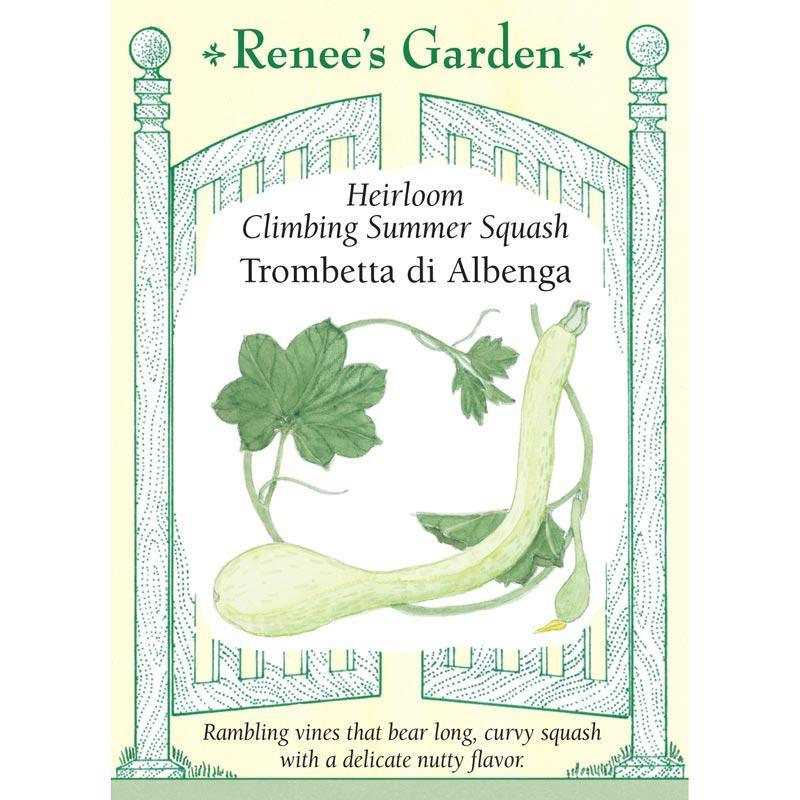 Trombetta di Albinga Climbing Summer Squash Seeds Renee's Garden