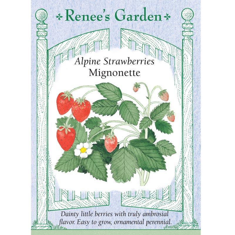Mignonette Alpine Strawberry Seeds Renee's Garden