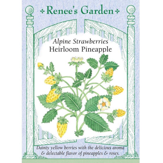 Renee's Garden Strawberry Alpine Pineapple (Heirloom) Renee's Garden Strawberry Alpine Pineapple (Heirloom) Herb Seeds