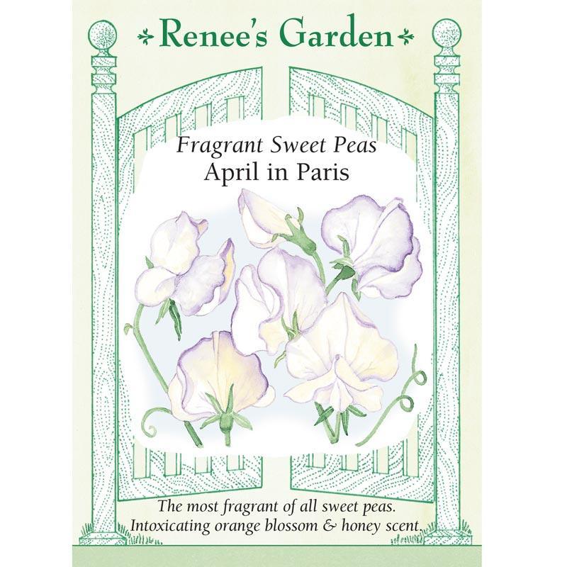 renee's garden seed April in Paris Sweet Pea Flower Seeds