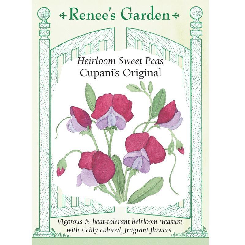 Cupani's Original Sweet Pea Flower Seeds Renee's Garden