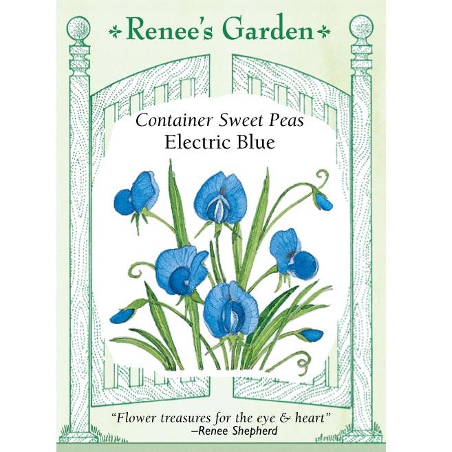 Renee's Garden Sweet Pea Electric Blue - Grow Organic Renee's Garden Sweet Pea Electric Blue Flower Seed & Bulbs