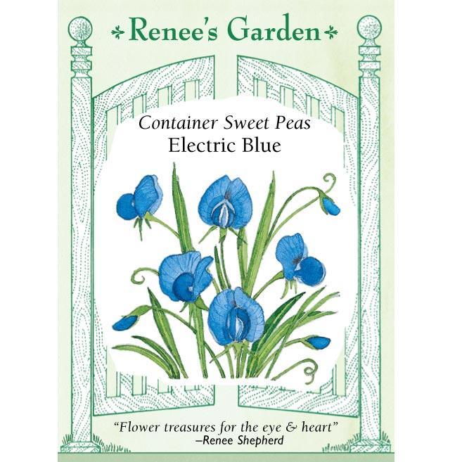 renee's garden sweet pea seeds Electric Blue Sweet Pea Flower Seeds