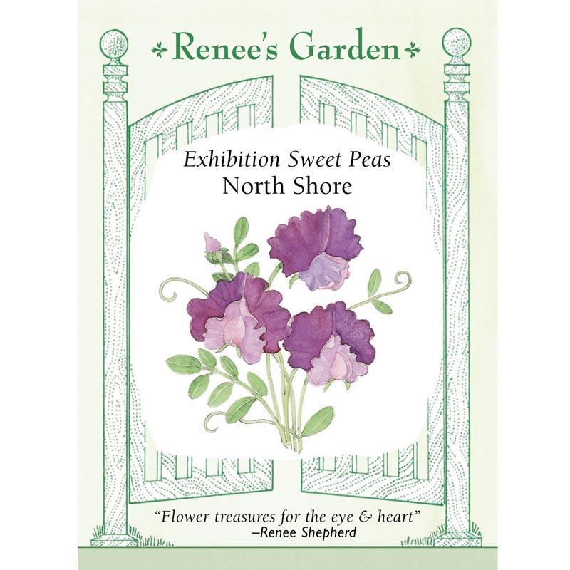North Shore Sweet Pea Flower Seeds Renee's Garden