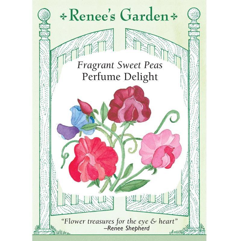 Perfume Delight Sweet Pea Flower Seeds Renee's Garden