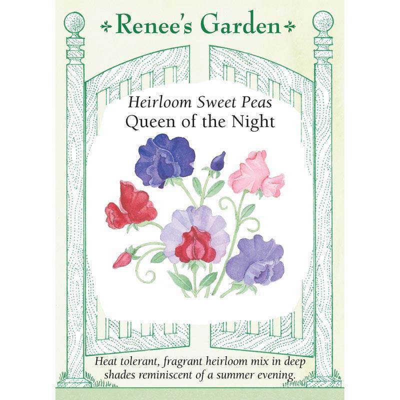 sweet pea flower seed packets Queen of the Night Sweet Pea Flower Seeds