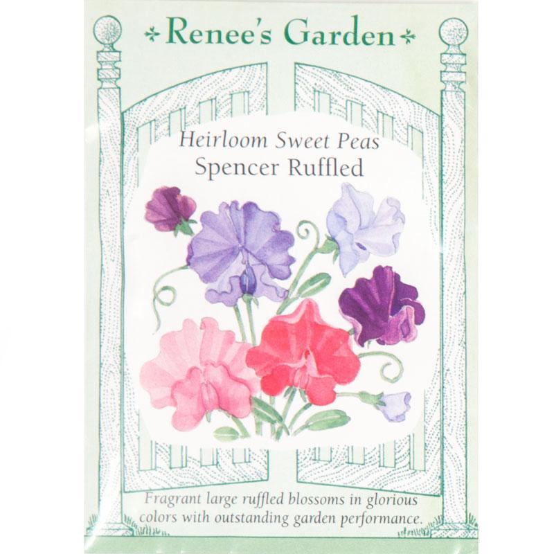 garden sweet pea seeds Spencer Ruffled Sweet Pea Flower Seeds