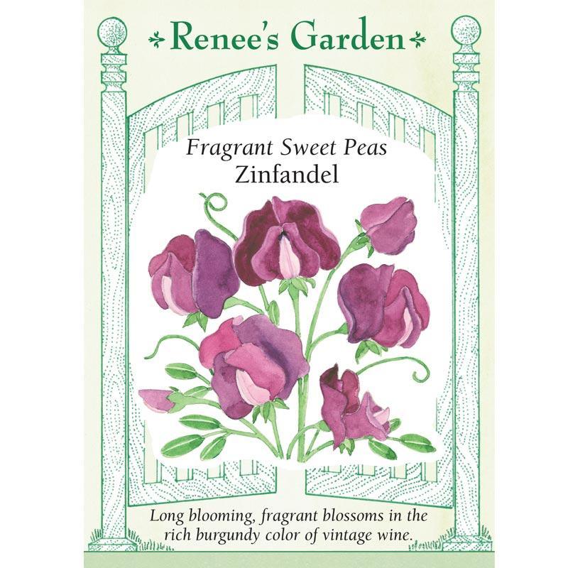 Zinfandel Sweet Pea Flower Seeds Renee's Garden