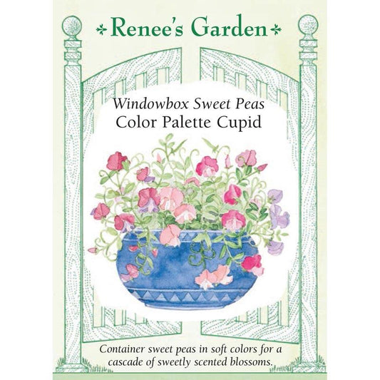 Renee's Garden Windowbox Sweet Pea Color Palette Cupid Renee's Garden Windowbox Sweet Pea Color Palette Cupid (Heirloom) Flower Seed & Bulbs