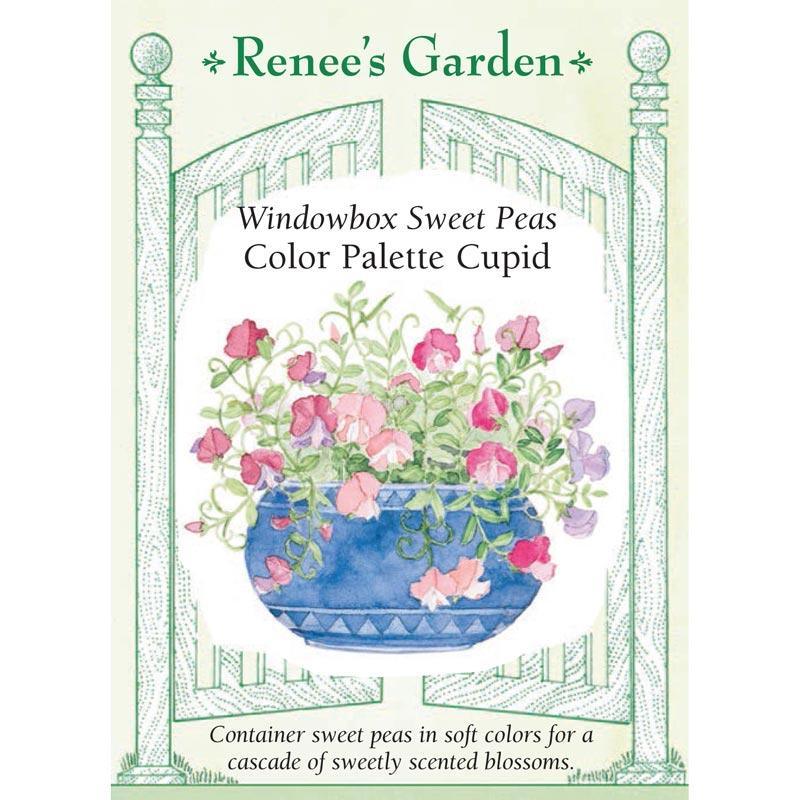 Cupid Color Palette Windowbox Sweet Pea Flower Seeds Renee's Garden
