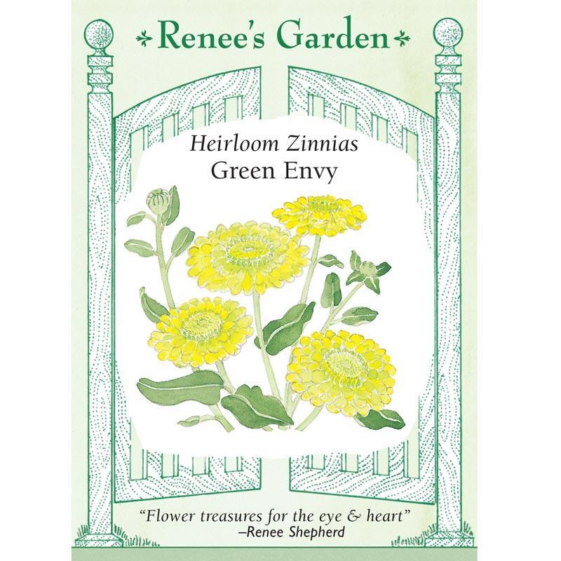 Green Envy Zinnia Flower Seeds Renee's Garden