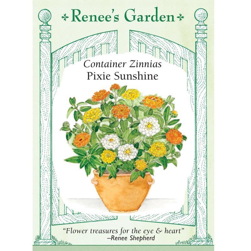Pixie Sunshine Zinnia Flower Seeds Renee's Garden