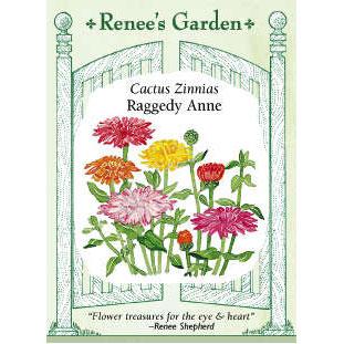 OUT Renee's Garden Zinnia Raggedy Anne Cactus - Grow Organic Renee's Garden Zinnia Raggedy Anne Cactus Flower Seed & Bulbs