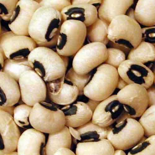 Black Eye Peas - Raw Seed (lb) Grow Organic