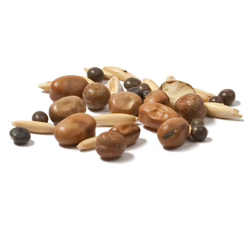 Peaceful Valley Premium Soil Builder Mix - Raw Seed (lb) Peaceful Valley