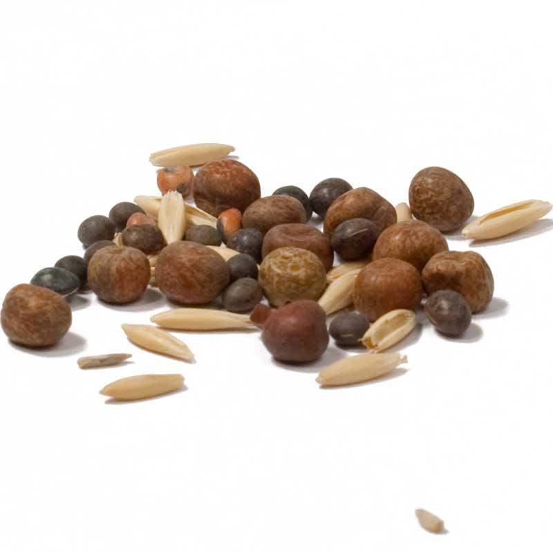 Peaceful Valley Legume Oat Mix #1 - Raw Seed (lb) Peaceful Valley
